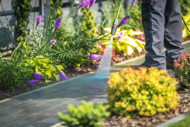Best Soft Washing  in Troutdale, OR