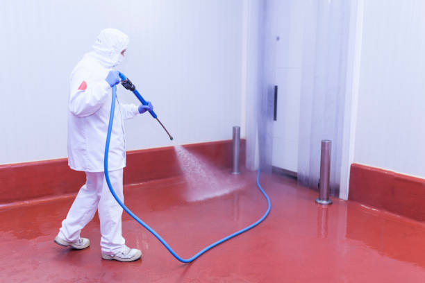 Best Solar Panel Cleaning  in Troutdale, OR